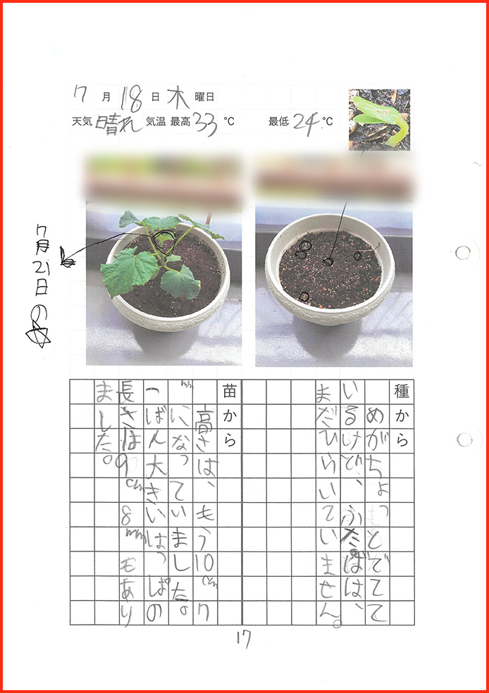 きゅうり博士賞18