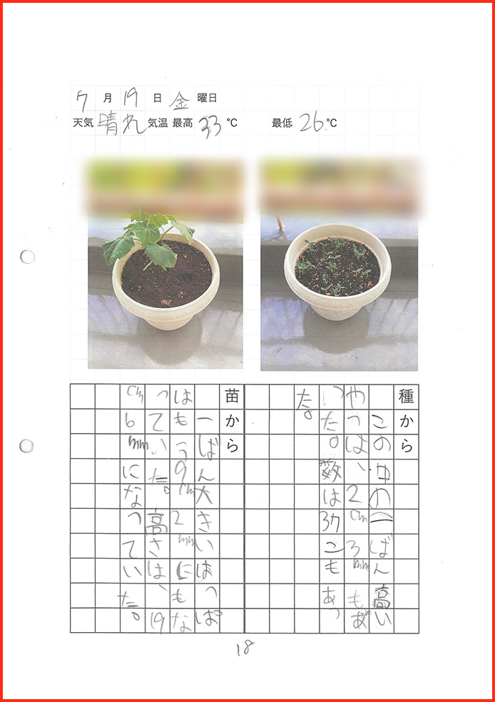 きゅうり博士賞19