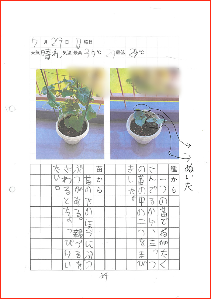 きゅうり博士賞35