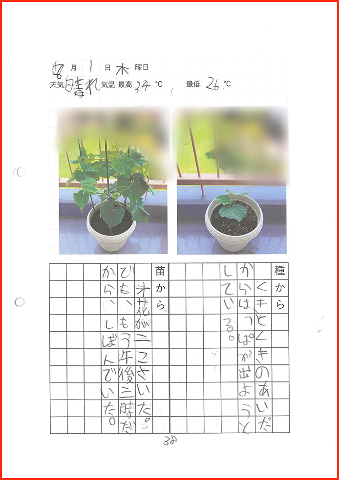 きゅうり博士賞39