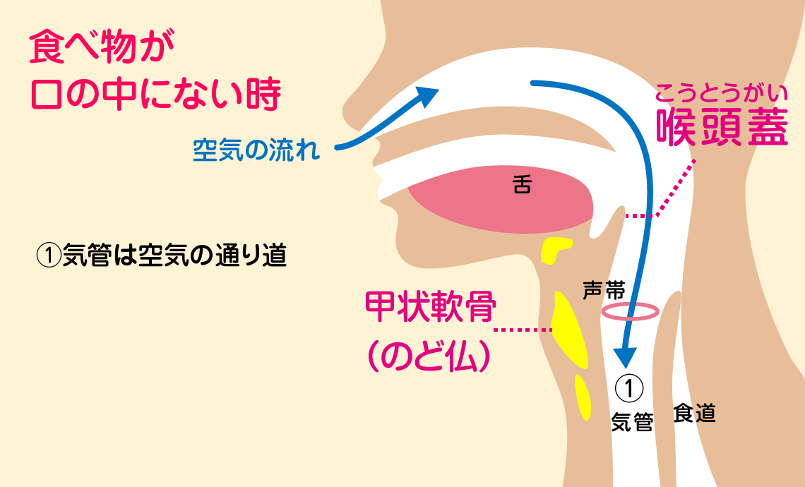 湯気 吸い込む と むせる